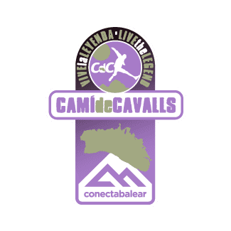 11KM-CARRERA